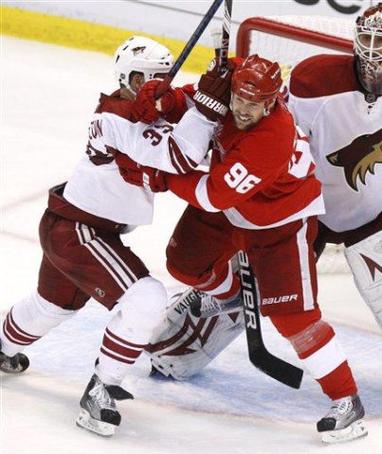 Detroit Red Wings Tomas Holmstrom: Just Another Crazy Hockey