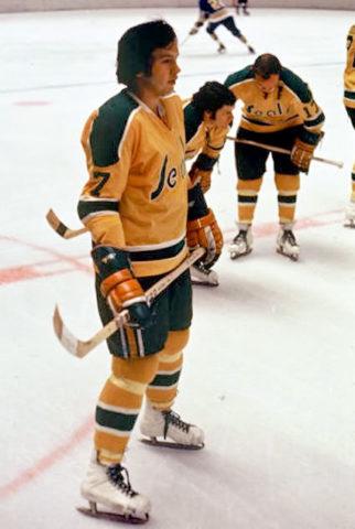 The Jersey History of the Stars, North Stars, Seals and Barons