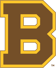 boston bruins bear logo - Google Search