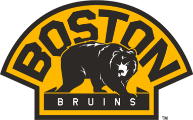 Boston Bruins Colors and Logo: A History and Color Codes — The