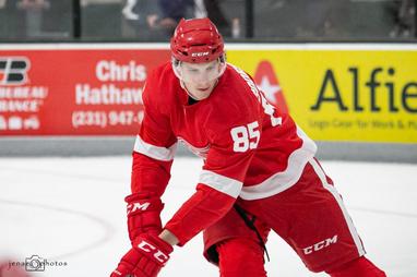Everybody can skate': Red Wings prospect Moritz Seider gets up to speed in  Swedish League