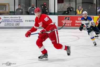 Big Elmer Soderblom will be 'exciting for Red Wings fans to watch' 