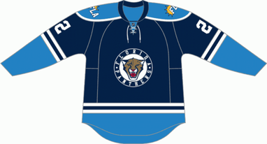 Florida Panthers Alternate 3rd Third Reebok NHL Premier Hockey Jersey Jet Blue M