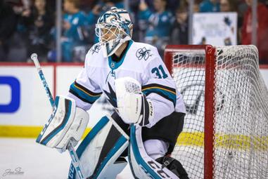 Sharks Roster Changes Since Free Agency Opening - Canyon News