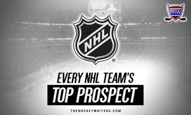 NHL teams that are best positioned to take advantage of the 2024