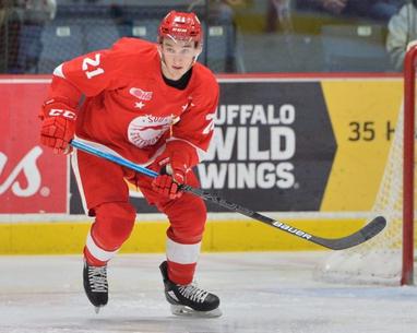 Lukas Reichel: 2020 NHL Draft Prospect Profile; A Dangerous, Two-Way Wing  That Excelled In Germany's Top League At 17 - All About The Jersey
