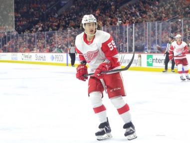A look at Red Wings advanced stats through Feb. 8, 2021