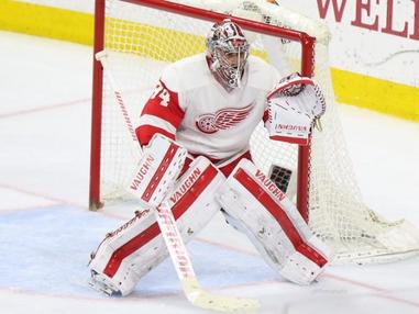 Red Wings goalie Chris Osgood confident he'll return before start of  playoffs 
