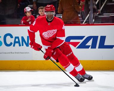 Moritz Seider's physicality earns Red Wings' praise, opponents