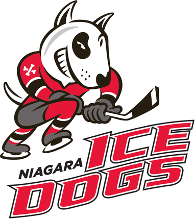 Kingston Frontenacs Home Uniform - Ontario Hockey League (OHL) - Chris  Creamer's Sports Logos Page 