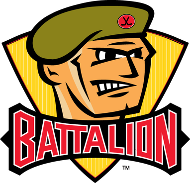Hamilton Bulldogs Road Uniform - Ontario Hockey League (OHL) - Chris  Creamer's Sports Logos Page 