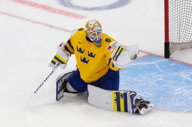 NHL draft first-round recap: Wings select Sweden's Raymond, UM's