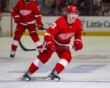 Red Wings' sources of hope: Moritz Seider and Lucas Raymond Detroit News -  Bally Sports