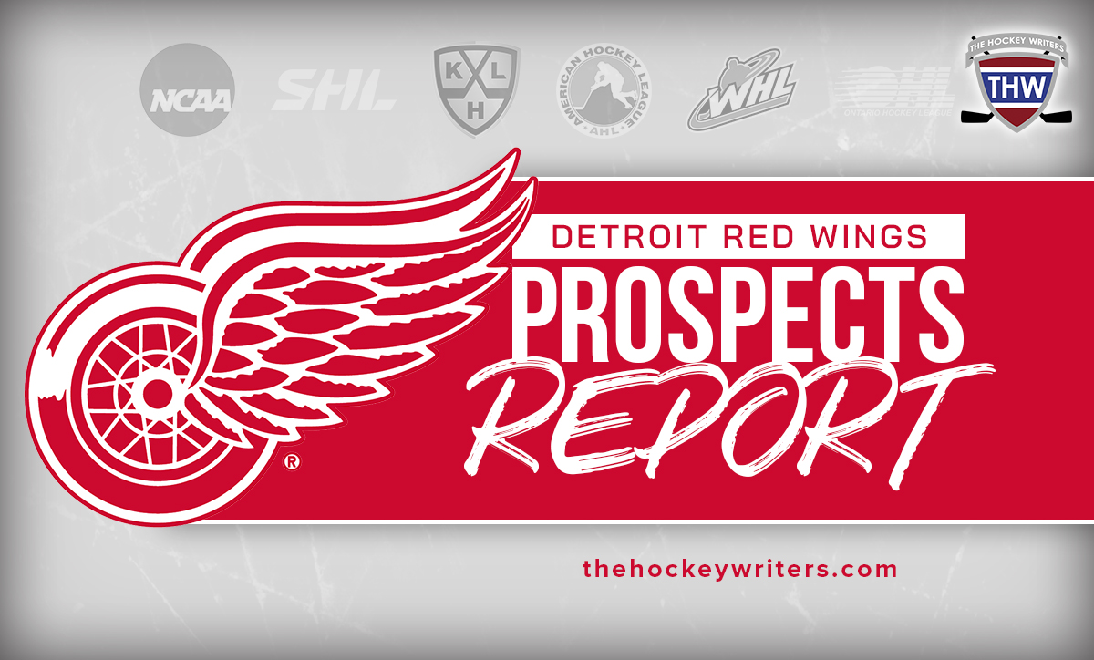 Detroit Red Wings Prospects Report