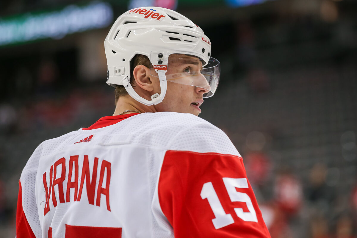Blues acquire Vrana from Red Wings