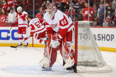 Red Wings Face Big Lineup Decisions as Injured Players Return