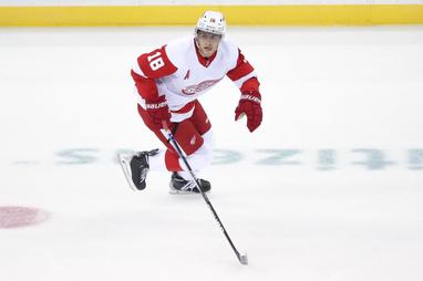 Detroit Red Wings 2023-24 Projection: Three Keys to the Season and