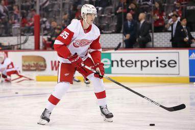 Red Wings Review: Elmer Soderblom's Future