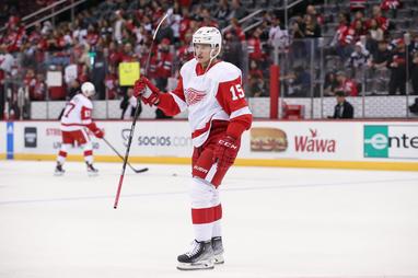 Red Wings' Vrana enters NHL/NHL player assistance program
