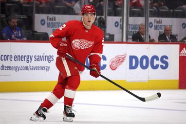 Detroit Red Wings: Why an AHL stint may be best for Elmer Soderblom