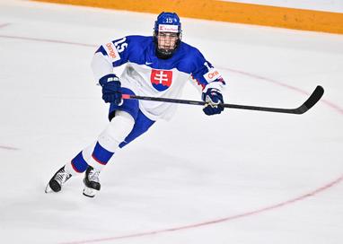 Team Slovakia - The Hockey News