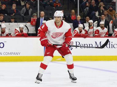 National hockey writers, analysts agree that former Red Wing