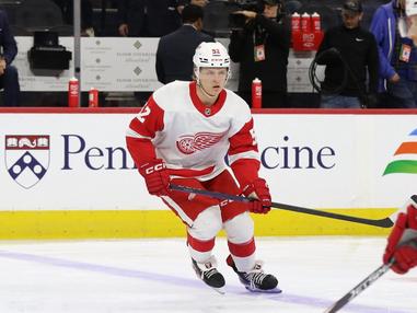 Red Wings Sign Elmer Soderblom to Entry-Level Contract : r/hockey
