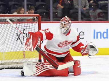 Red Wings Place Goalie Alex Nedeljkovic on Waivers