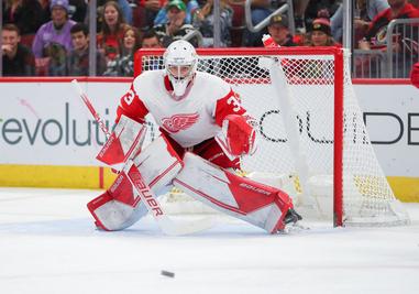 Analysis: What are the Final Grades for the Red Wings Players