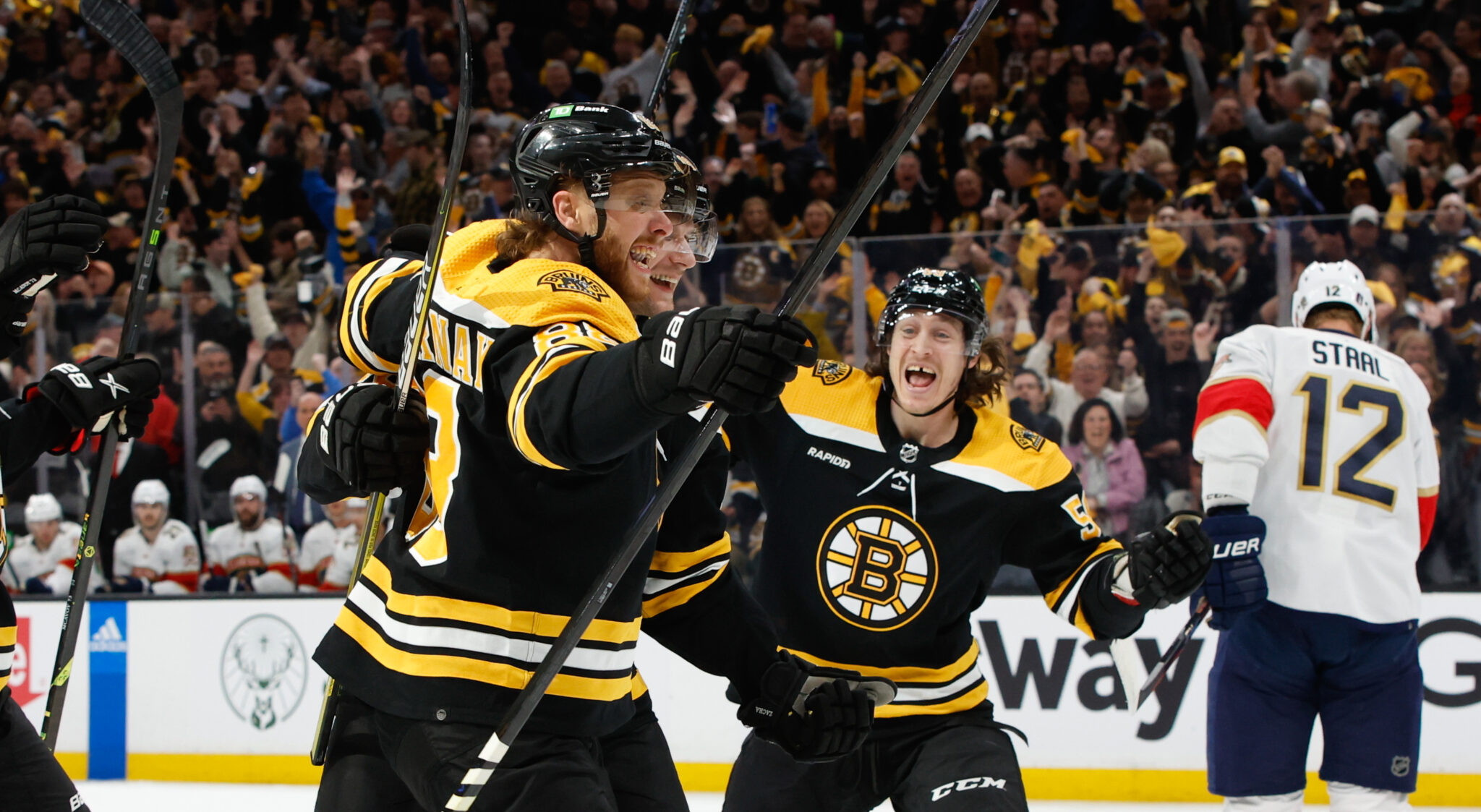 Boston Bruins Celebrate David Pastrnak Tyler Bertuzzi
