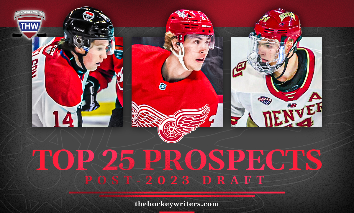 Detroit Red Wings Top 25 Prospects: Post-2023 Draft Simon Edvinsson, Nate Danielson, Carter Mazur