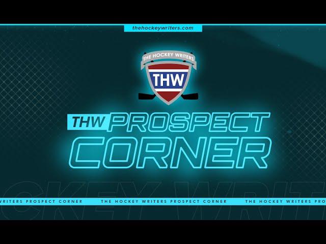 'Video thumbnail for 2024 Draft Profiles: Parekh and Silayev & NHL Farm System Rankings: Red Wings | THW Prospect Corner'